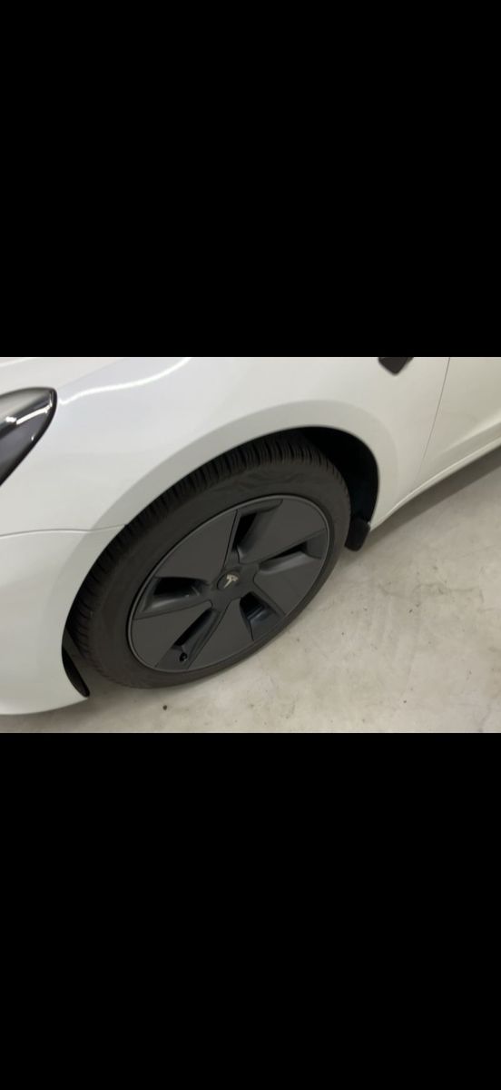 Tesla Model 3 Long Range RWD 360°Kam ACC foto 12