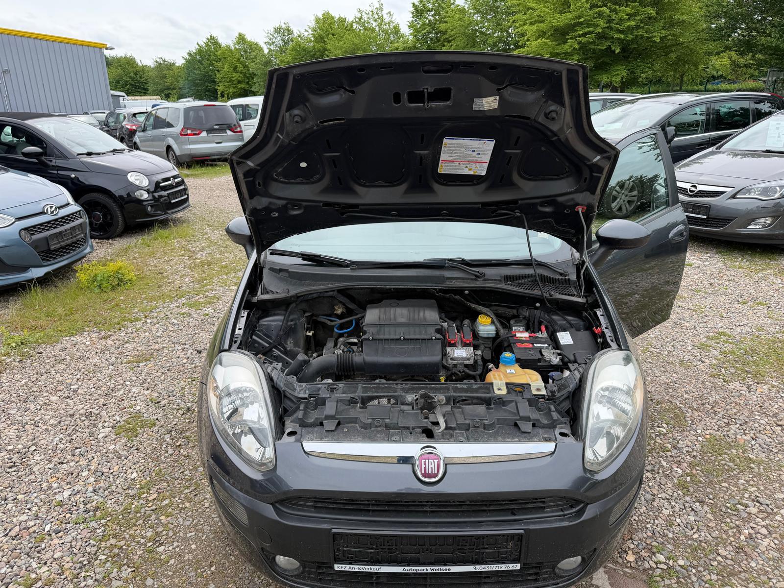 Fiat Punto Dynamic
