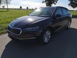 Skoda Octavia Kombi 2.0 TDI DSG Selection Navi PDC GV5