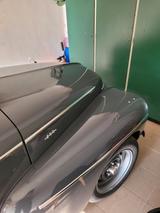 Volvo PV 544 - Volvo: Pv 544