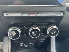 Fahrzeugabbildung ZOE Intens R135