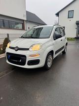 Fiat Panda 1,2 Klima,Sitzheizung,AHK, 2.Hand - Fiat Panda Gebrauchtwagen in Solingen