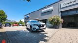 Suzuki Scross Comfort+ ,Allrad,Panorama,Leder,Navi - Suzuki SX4 Neuwagen