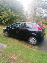 Fiat Punto 2008 - Fiat Punto in Bielefeld