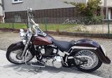 Harley-Davidson FLSTN   Cicano - Harley-Davidson Motorräder in Kassel