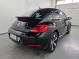 Volkswagen Beetle 1.2 TSI Cup Einparkhilfe - Volkswagen Beetle in Bochum