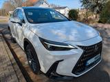 Lexus 350h E-FOUR LuxuryLine HUD MarkLevinson 4x4 - Lexus NX Series: Privatanbieter