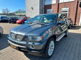 BMW X5 4.4i,HU/AU NEU - BMW X5 in Dortmund