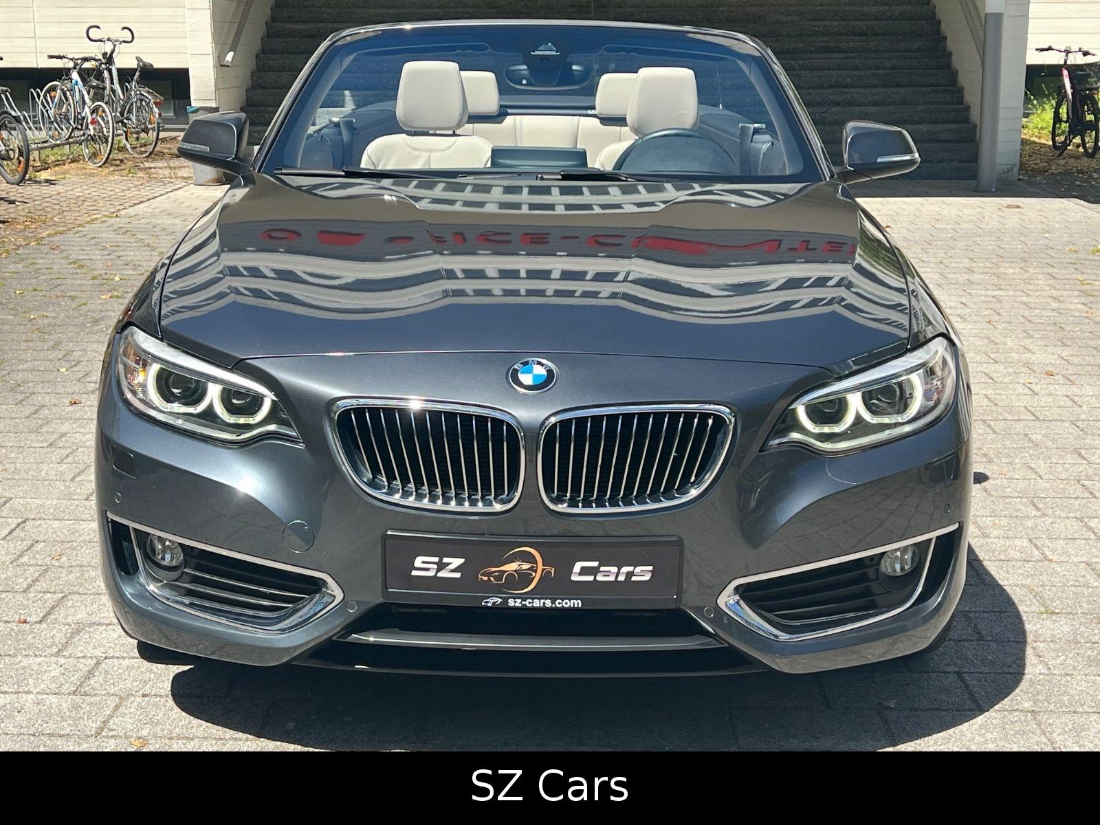 BMW 228 i Cabrio Luxury Line LEDER NAVI SPUR PDC