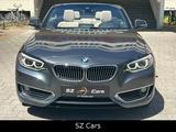 BMW 228 i Cabrio Luxury Line LEDER NAVI SPUR PDC - BMW 228 mit 3 Türen