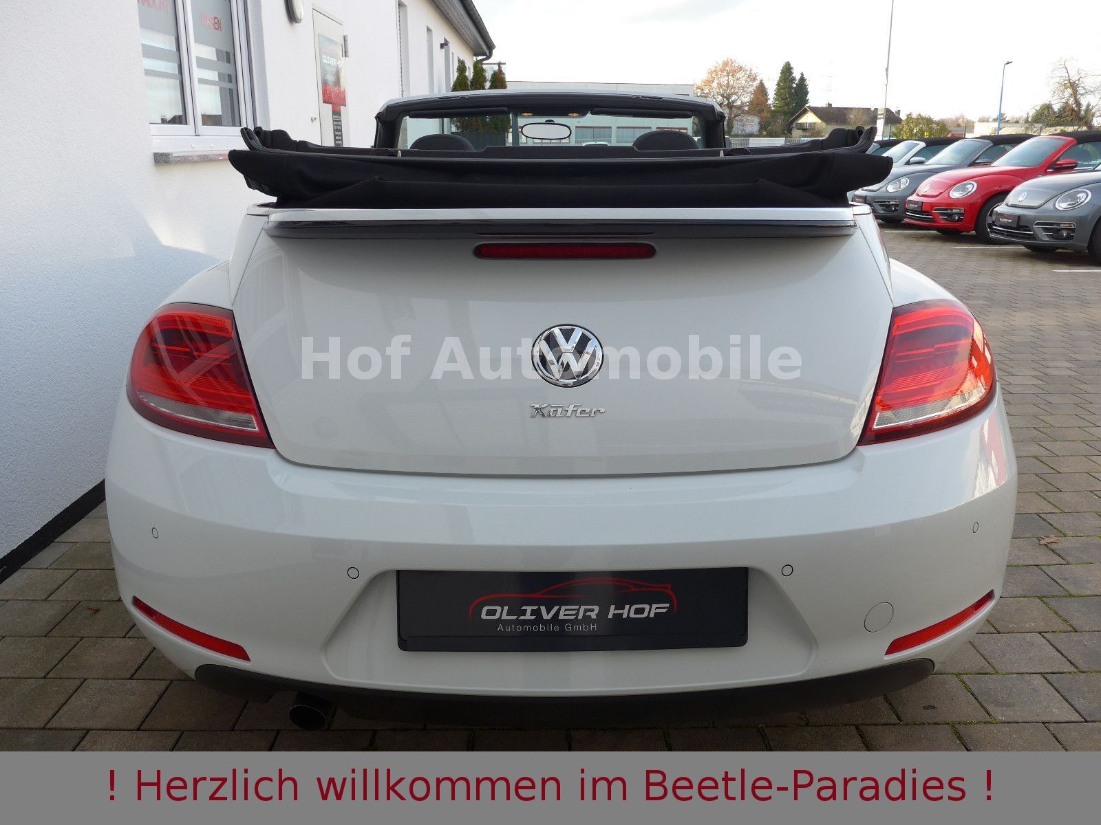 Volkswagen Beetle 1.2TSI Allstar Plus Xenon LED Kamera AppC foto 6