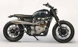 Triumph Scrambler Jens vom Brauck - TRIUMPH SCRAMBLER