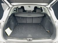 Audi Q5 - Vorschau Bild 14