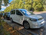 Volkswagen Caddy 2,0TDI 90kW DSG Life LED Candy weiß  - Volkswagen: Candy