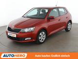 Skoda Fabia 1.2 TSI Ambition *LIMIT*KLIMA* - Skoda Fabia Gebrauchtwagen in Frankfurt