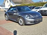 Volkswagen Beetle Sport Fender Soundsystem, Bi-Xenon, Navig - Volkswagen Beetle: Cabrio
