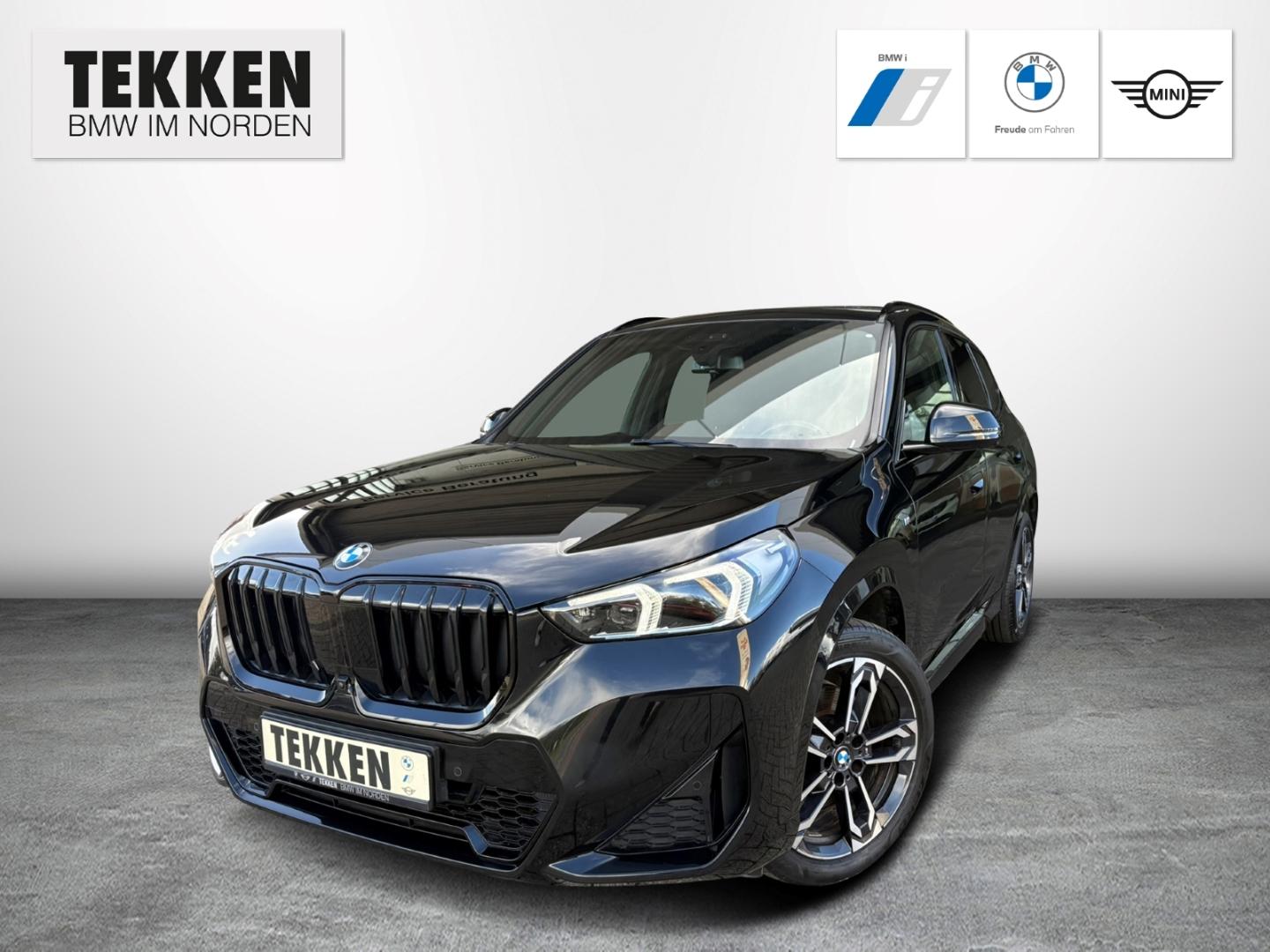 BMW X1 23d xDrive M-Sport Driv. Ass. Prof. H/K Pano 
