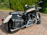 Harley-Davidson Sportster 1200 Custom (XL1200C-FMDACO) 1. Hand
