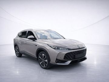 Mg HS - 3