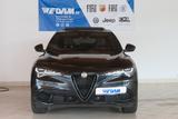 Alfa Romeo Stelvio Competizione Q4 280PS *Schiebedach* - gebrauchte Alfa Romeo Stelvio aus dem Jahr 2023