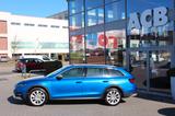 Skoda Octavia Combi Scout 4x4 TDI Stdhzg Pano AHK ACC - Skoda Octavia: Scout Combi