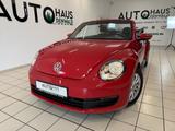 Volkswagen Beetle Cabriolet 1.2 TSI*Allwetter*PDC* - Volkswagen Beetle: Rot, Cabrio