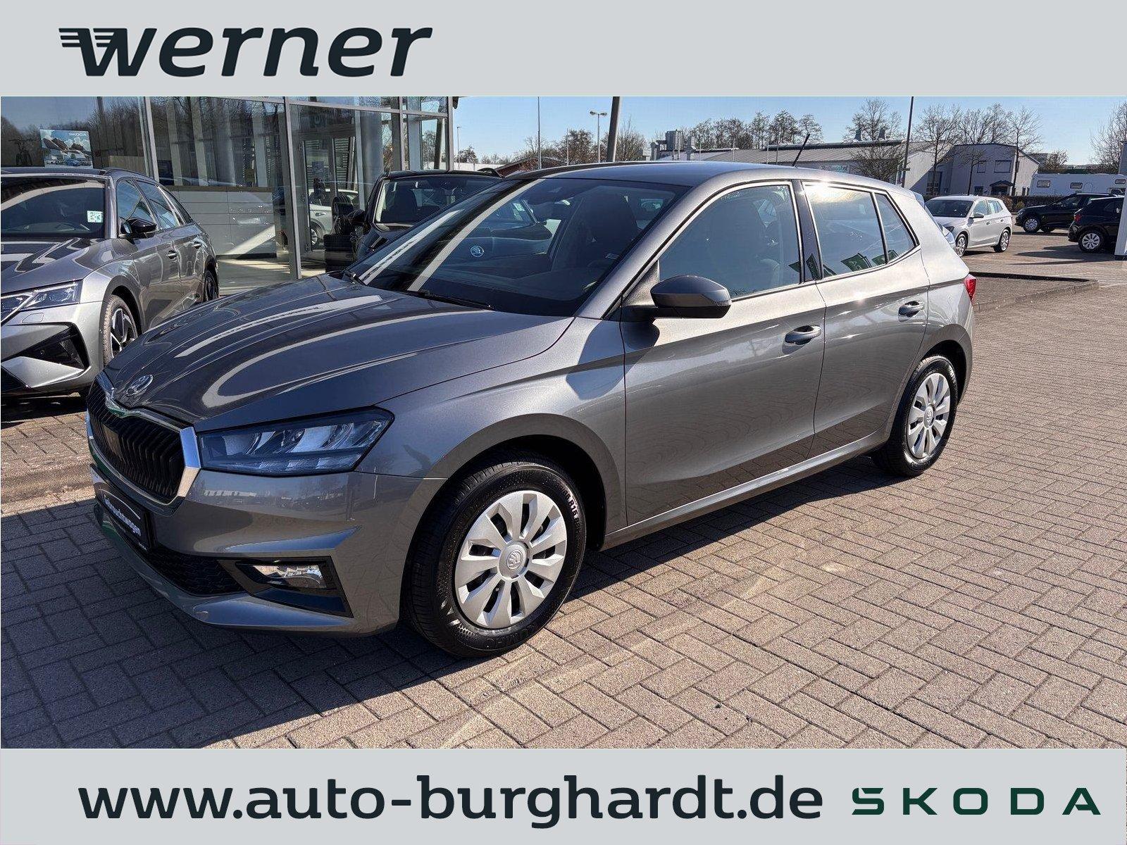 Skoda Fabia 1.0 Selection *Winter*