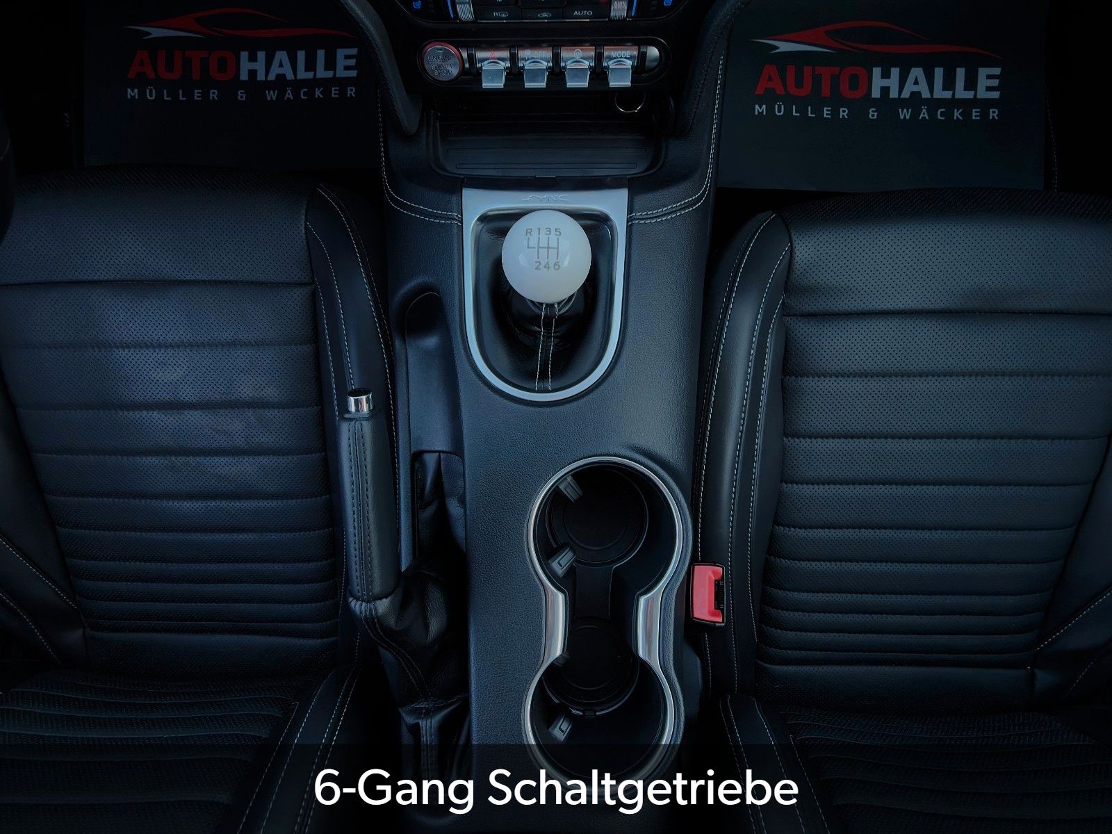 Fahrzeugabbildung Ford Mustang Mach 1 5.0L V8 Fastback Schalter Perfor.