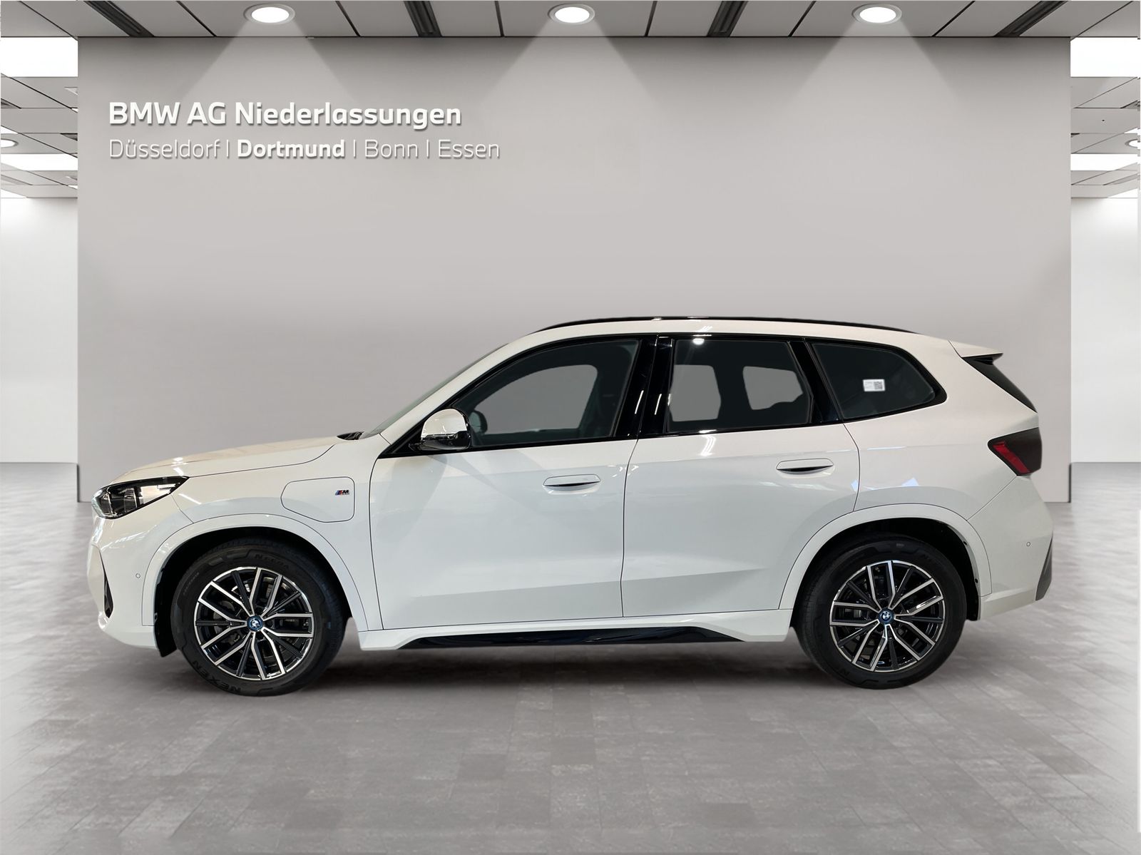 BMW X1 xDrive25e M Sport Driv.Assist Head-Up LED foto 3