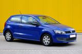 Volkswagen Polo 1.2 44kW Trendline  - Volkswagen Polo aus 2010: Trendline