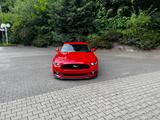 Ford Mustang 5.0 V8 GT - Luftfahrwerk, gepflegt - Ford Mustang in Chemnitz