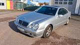 Mercedes-Benz CLK 200 KOMPRESSOR ELEGANCE - Mercedes-Benz CLK 200 aus 2001: Kompressor