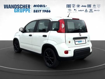 Fiat Panda 1.0 MHEV Basis KLIMA RADIO eFH ALU AWR