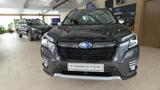 Subaru Forester Platinum - Subaru Forester Platinum mit Benzin-Antrieb