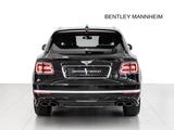 Bentley Bentayga Speed W12 MIT AKRAPOVIC / CARBON BRAKES - Bentley in Ludwigshafen