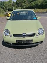 Volkswagen Lupo 1.0 BASIS Basis - Volkswagen Lupo: Grün