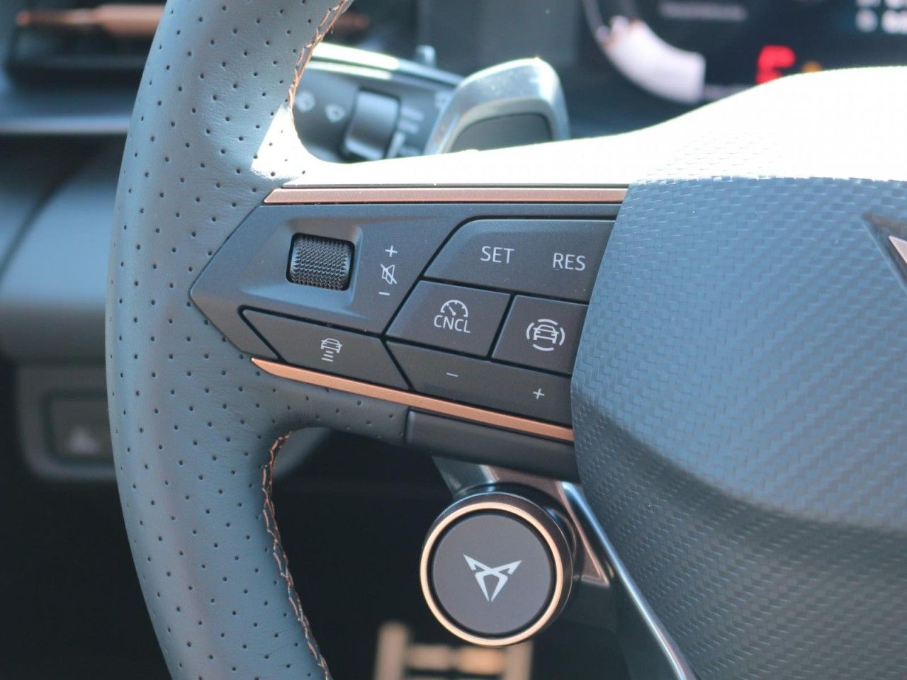 Fahrzeugabbildung CUPRA Terramar VZ 2.0 TSI DSG 4Drive