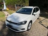 Volkswagen VW Golf 7 VII Variant, Kombi 1.0TSI, weiß,... - Volkswagen Golf: Weis