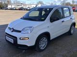 Fiat Panda MY24 1.0 Klima PDC Citypaket - Fiat Panda Vorführfahrzeuge