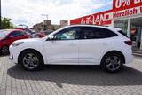 Ford Kuga 1.5 EB ST-Line Aut. LED Navi Kamera - Ford Kuga Jahreswagen