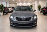 Skoda Octavia Combi Drive Panorama - Skoda Octavia Drive mit Benzin-Antrieb