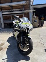 Honda CBR 600 RR - PC40 Hannspree - Unfallfrei  - HONDA CBR 600 RR HANNSPREE