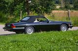 Jaguar XJS Cabrio - Jaguar XJS aus 1989: Cabrio