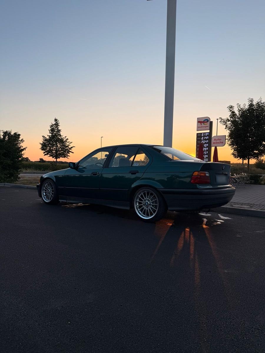 BMW 318