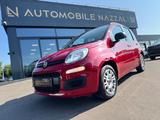 Fiat Panda 1.3 DIESEL*EASY-LINE*5-TÜRIG*KLIMA*EURO 6* - Fiat Panda aus 2014
