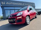 Fiat Panda 1.3 DIESEL*EASY-LINE*5-TÜRIG*KLIMA*EURO 6* - Fiat Panda: 5.5