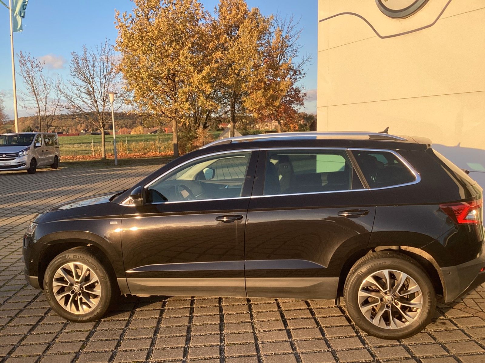Fahrzeugabbildung SKODA Karoq Clever 2.0 TDI 110 KW DSG 4x4
