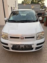 Fiat Panda - Fiat Panda Gebrauchtwagen in Augsburg