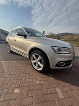 Audi Q5 3.0 TDI clean diesel S tronic quattro - Pano - Audi Q5 in Kassel
