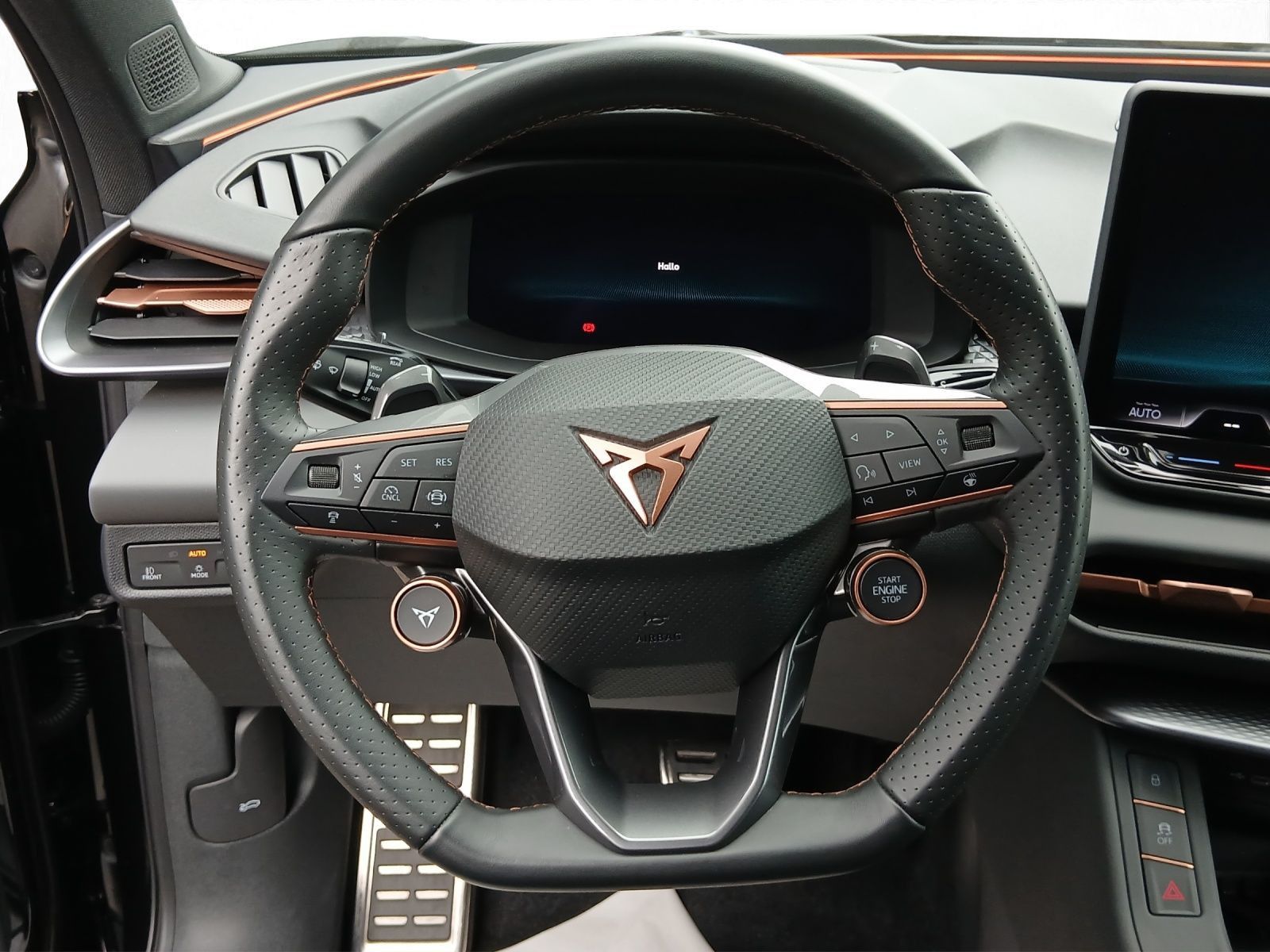 Cupra Terramar - Bild 10